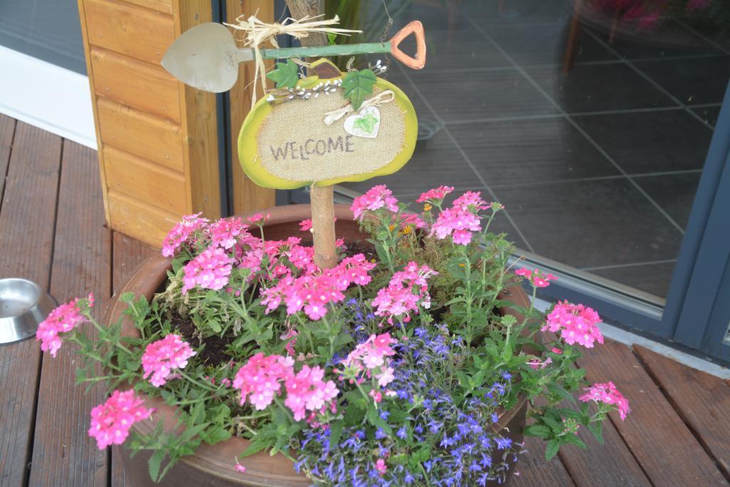 Antoingt Les Condamines B&B 외부 사진